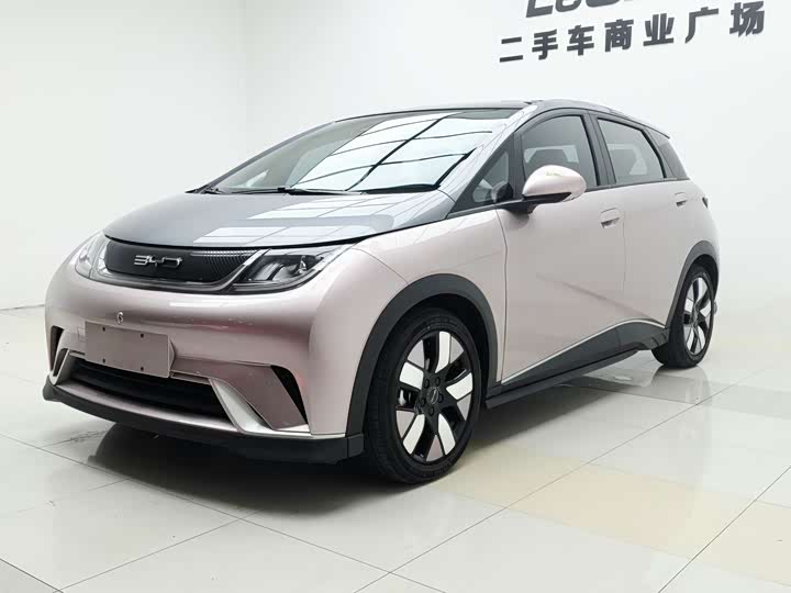 Dolphin 2021 401km Knight Edition
