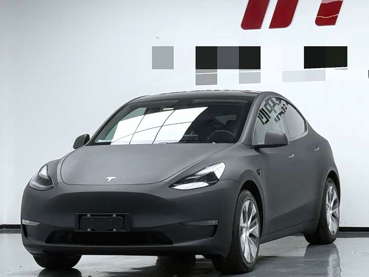 Model Y 2021 standard range rear-wheel drive version