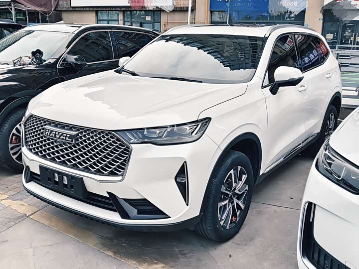 Haval H6 2021 third generation 1.5T automatic two-wheel drive Pro