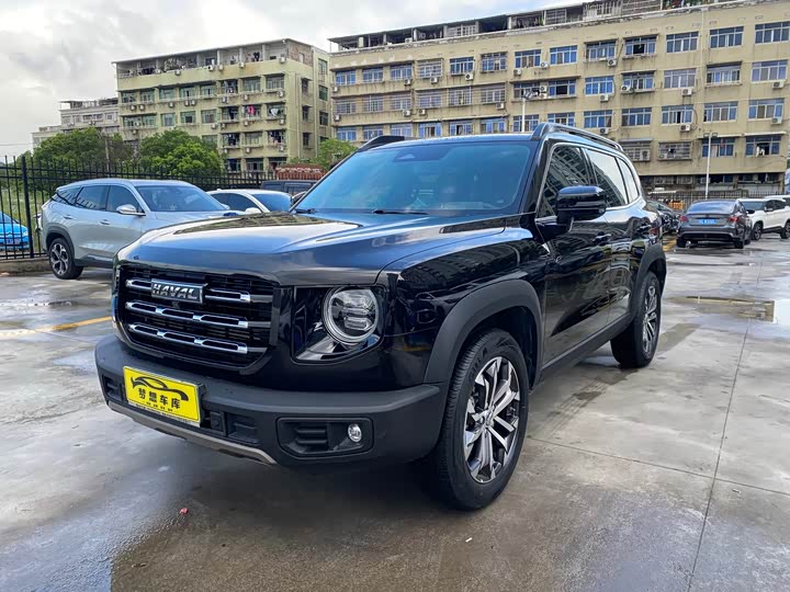 Haval Big Dog 2021 1.5T DCT two-wheel drive Border Collie version