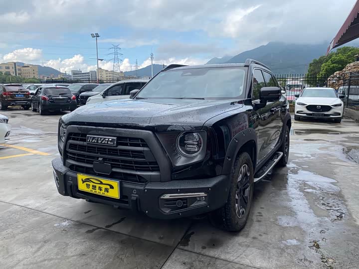 Havaldog 2022 2.0T DCT four-wheel drive roaring dog hunting version