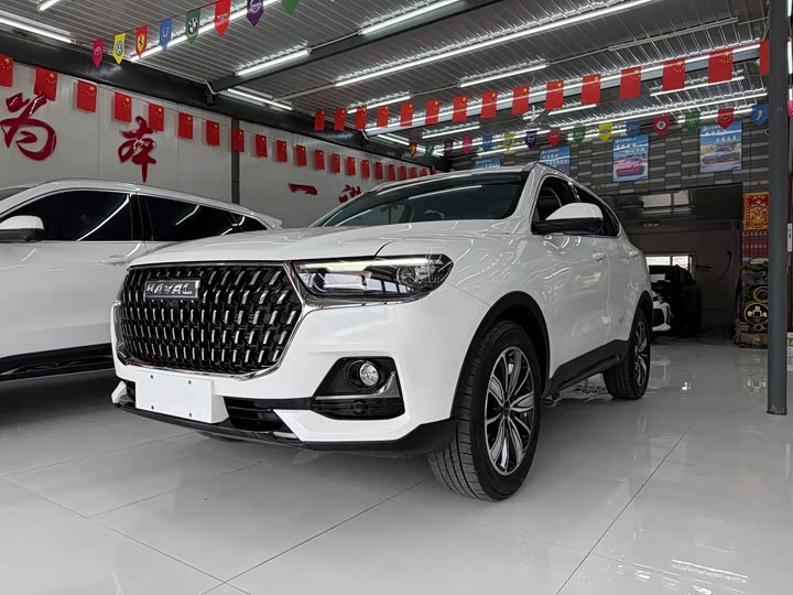Haval H6 2023 National Fashion Edition 1.5T Automatic Champion Edition