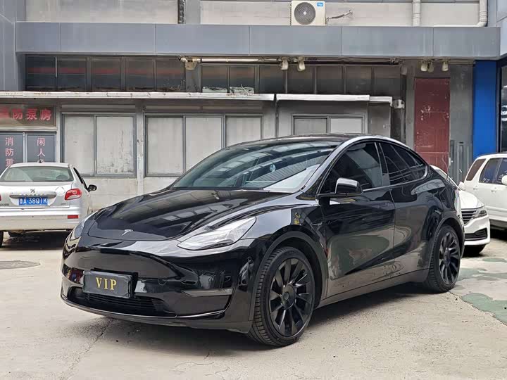 Model Y 2021 standard range rear-wheel drive version