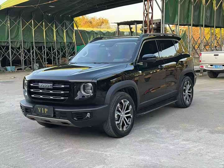 Haval Big Dog 2021 1.5T DCT two-wheel drive Border Collie version