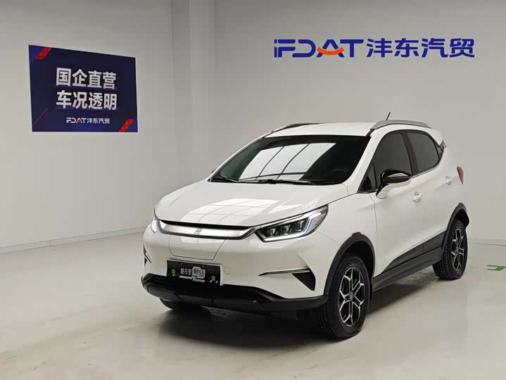 Yuan Pro 2021 model 401KM luxury model