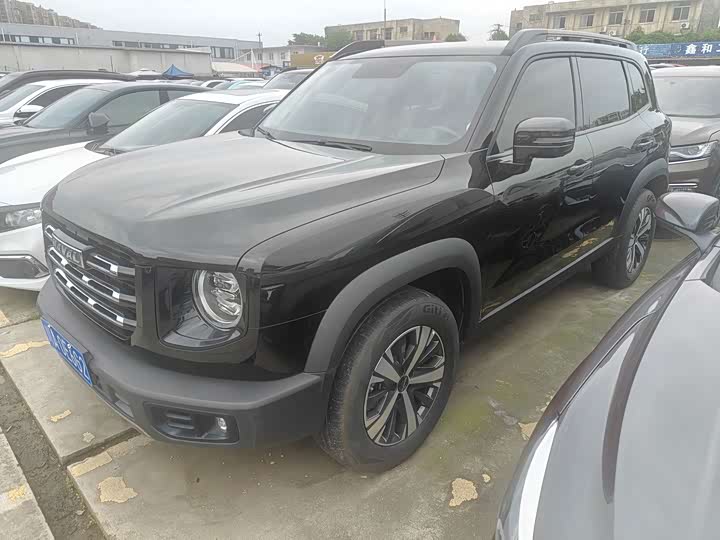 Havaldog 2022 1.5T DCT two-wheel drive Labrador version