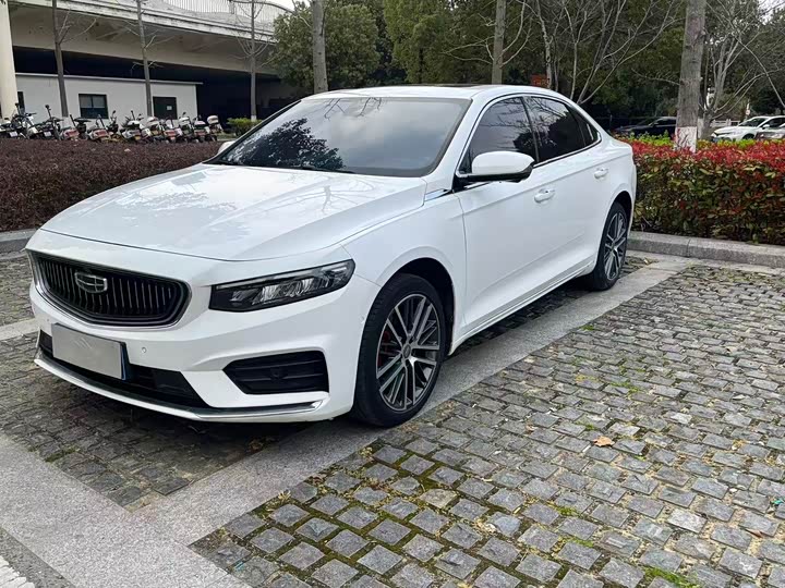 Xingrui 2021 2.0TD luxury model