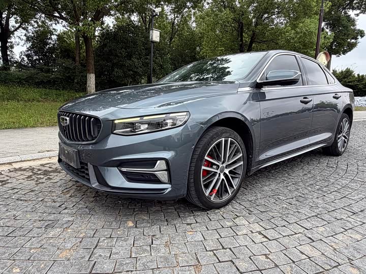 Xingrui 2023 2.0TD luxury model