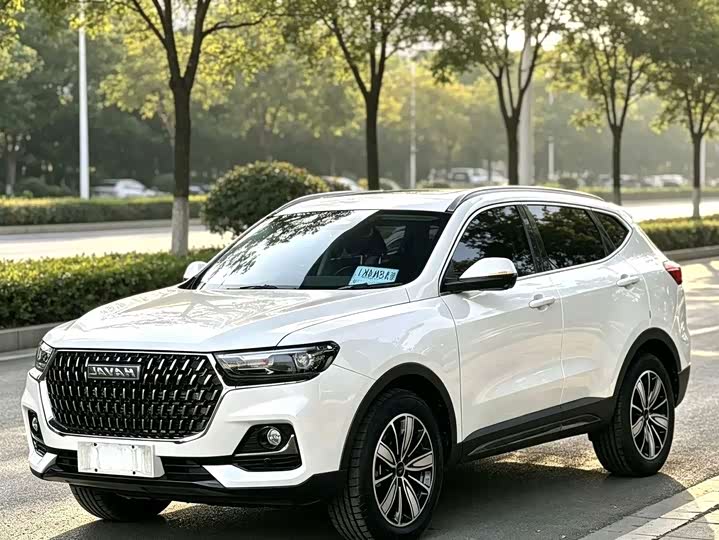 Haval H6 2023 National Fashion Edition 1.5T Automatic Urban Edition