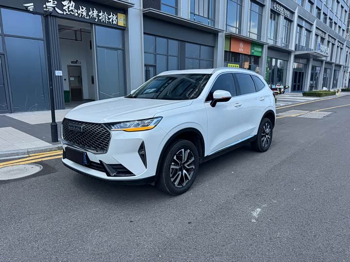 Haval H6 2022 third generation 1.5T automatic two-wheel drive Pro