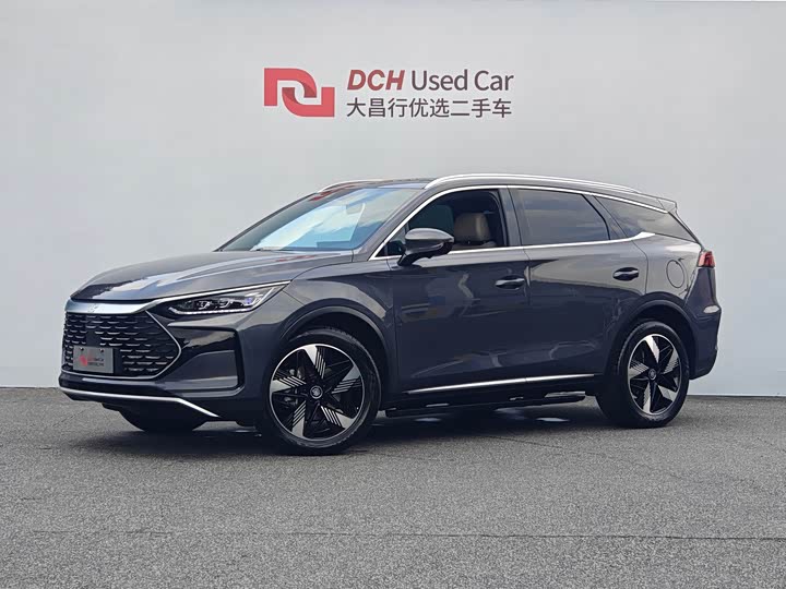 Tang New Energy 2024 DM-i Honor Edition 112KM Zunrong Type
