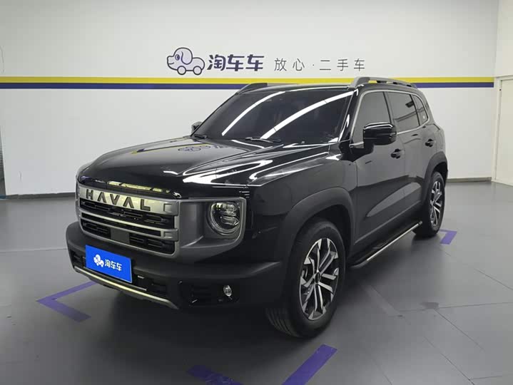 Haval Big Dog 2024 1.5T DCT Border Collie Edition
