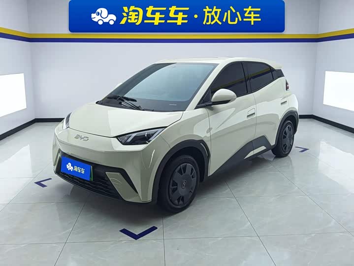Seagull 2024 Honor Edition 305km Vitality Edition