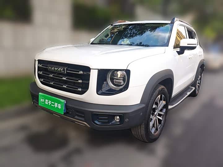 哈弗大狗 2021款 1.5T DCT两驱边牧-旺财版