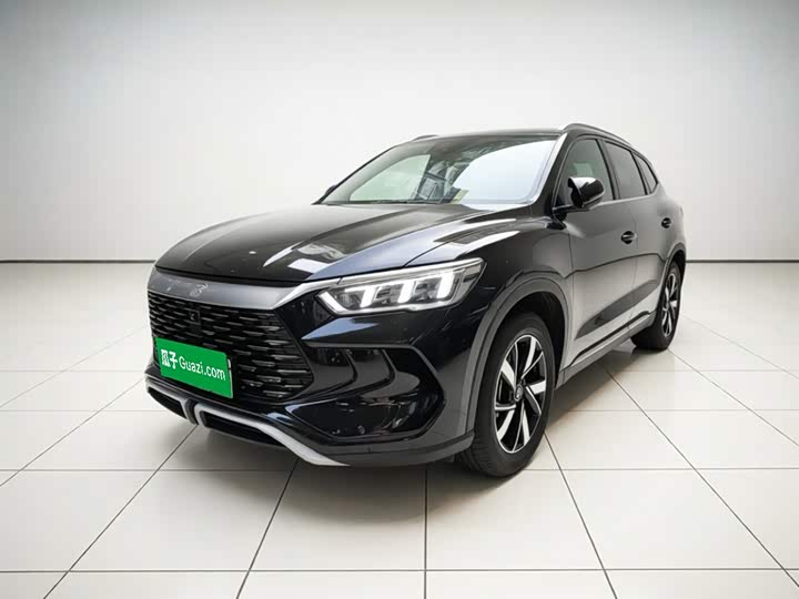 Song Pro New Energy 2024 Honor Edition DM-i 71KM Pilot Model