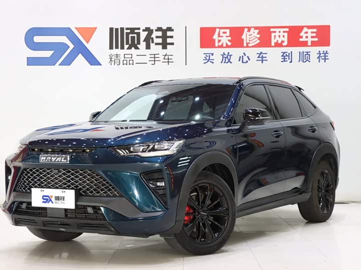 Haval H6S 2022 2.0T two-wheel drive smart running version