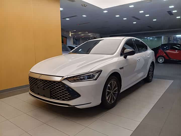 Qin PLUS 2024 Honor Edition DM-i 55KM Leading Type