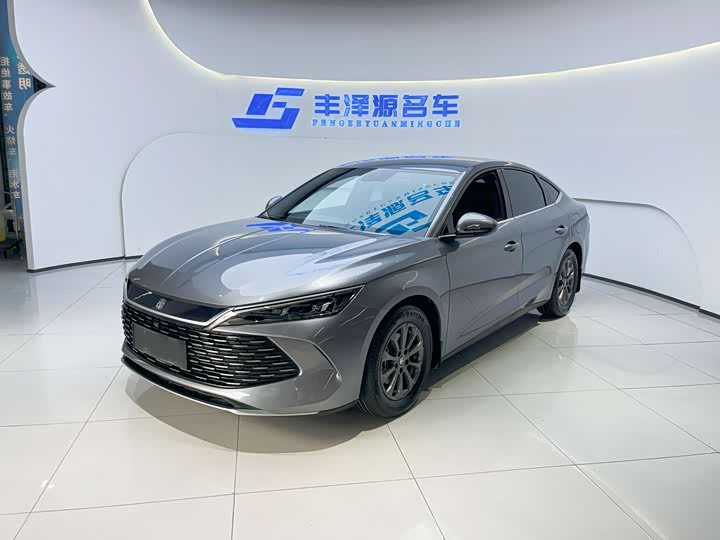 Qin L 2024 DM-i 80KM leading model
