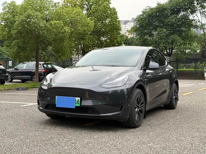 Model Y 2024 rear-wheel drive version