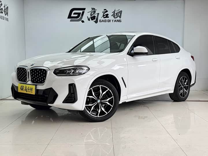 BMW X4 2022 xDrive25i M Sport Package