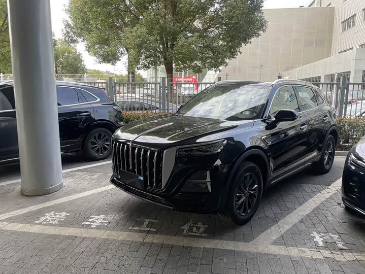 HongqiHS5 2025 Model 2.0T 2WD Flagship Pro Edition