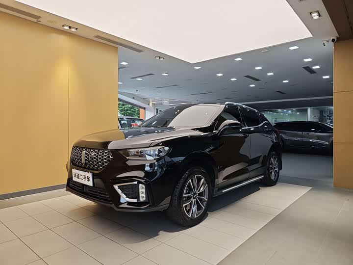Wei brand VV5 2021 1.5T 2WD Intelligent Pioneer