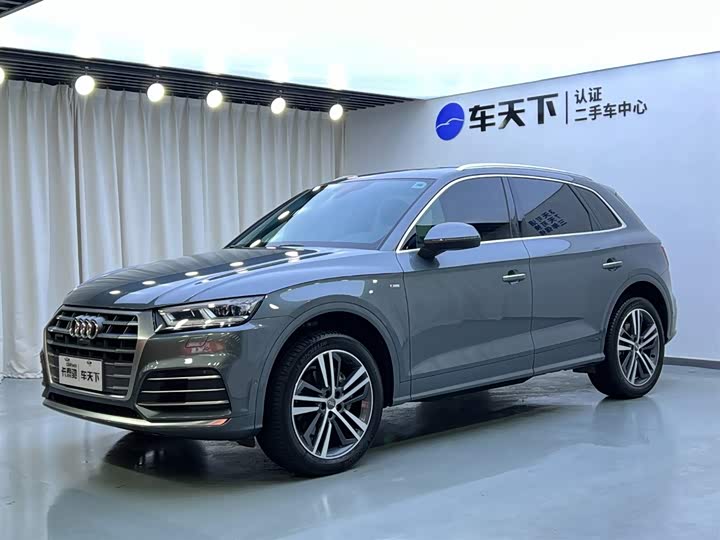 Audi Q5L 2020 45 TFSI Luxury Fashion