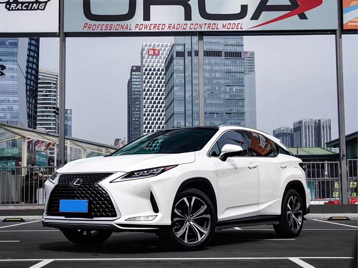 Lexus RX 2020 300 four-wheel drive elegant version National VI