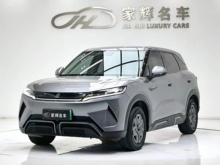 Yuan UP 2024 401KM Vitality Edition