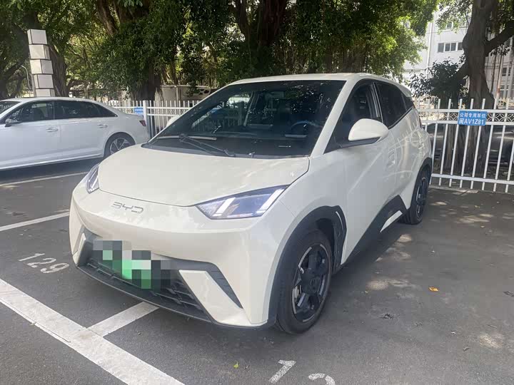 Seagull 2024 Honor Edition 405km Flying Edition