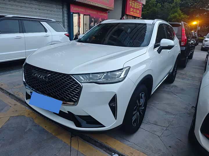 Haval H6 2021 third generation 1.5T automatic two-wheel drive Pro