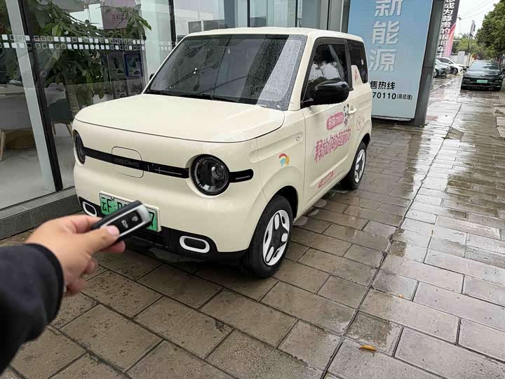 Panda 2024 Model Panda mini 200km Endurance Bear