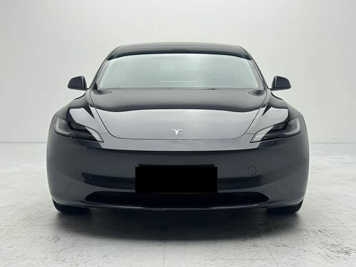 Model 3 2023 rear-wheel drive version