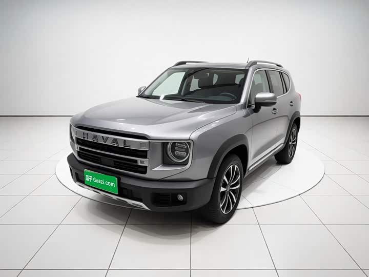 Haval Big Dog 2024 1.5T DCT Border Collie Edition