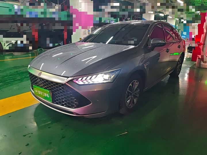 Qin PLUS 2024 Honor Edition DM-i 55KM Leading Type