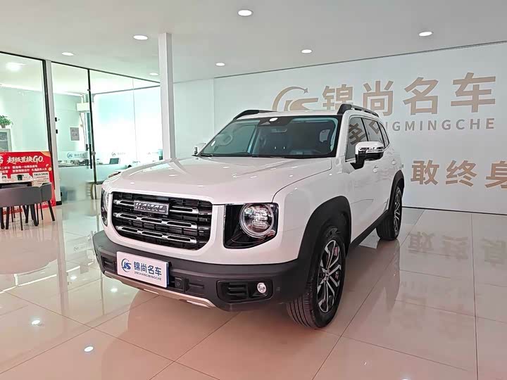 Haval Big Dog 2022 1.5T DCT two-wheel drive Border Collie version