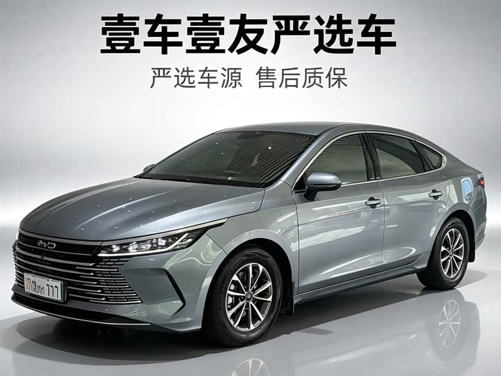 Destroyer 05 2024 Honor Edition DM-i 55KM Luxury Type