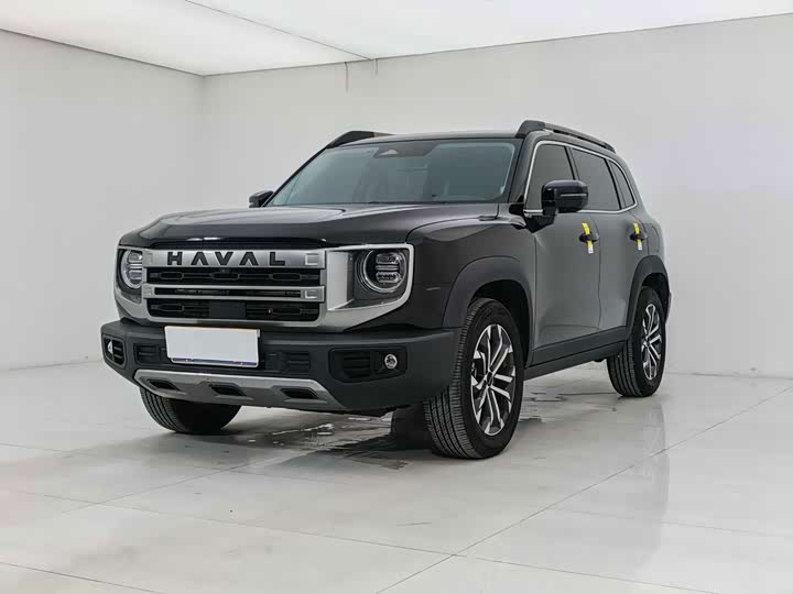 Haval Big Dog 2024 1.5T DCT Border Collie Edition