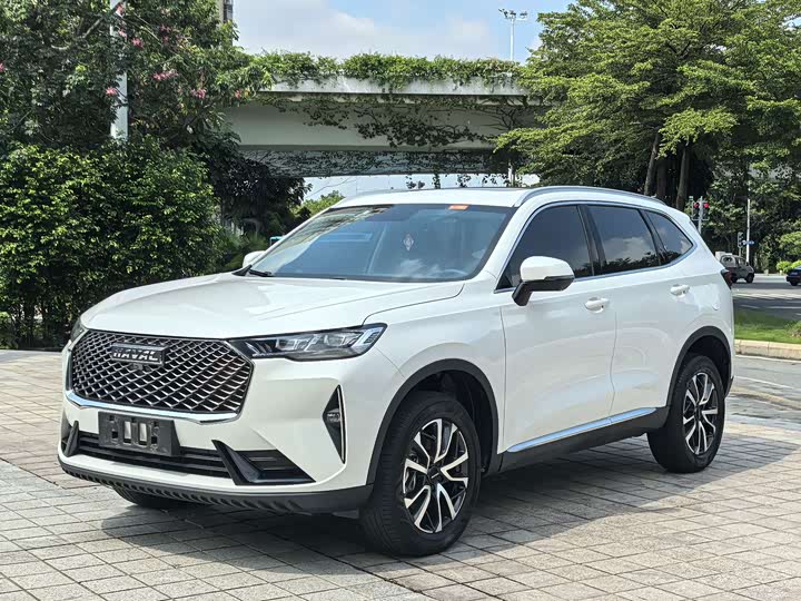 Haval H6 2021 third generation 1.5T automatic two-wheel drive Pro