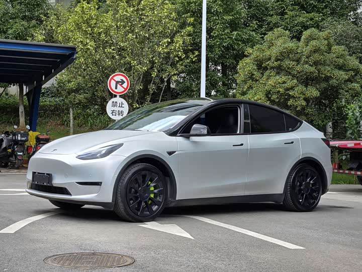 Model Y 2021 standard range rear-wheel drive version