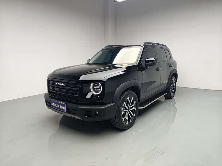 Haval Big Dog 2026 1.5T DCT Border Collie Edition
