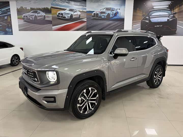 Haval Big Dog 2022 Model 1.5T DCT 2WD Border Collie Edition