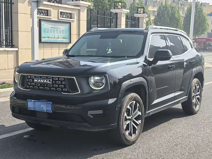 Haval Big Dog PLUS 2023 2.0T two-wheel drive wild version Plus