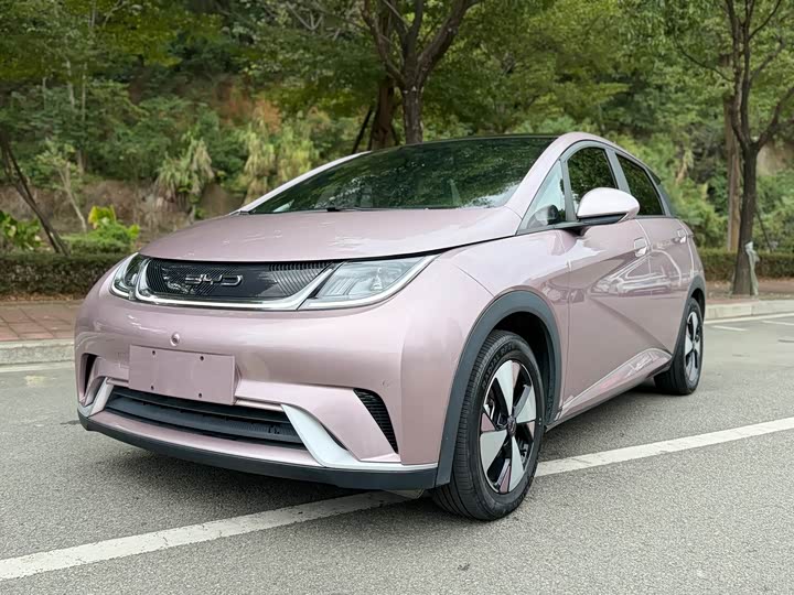 2023 BYD Dolphin 420km Fashion Edition