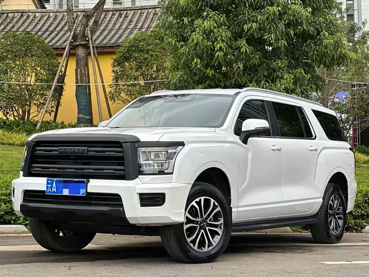 Haval H5 2023 2.0T automatic four-wheel drive LinkedIn gasoline