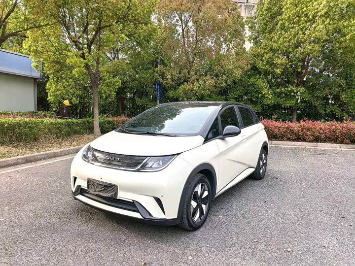 2025 BYD Dolphin 420km Fashion Edition