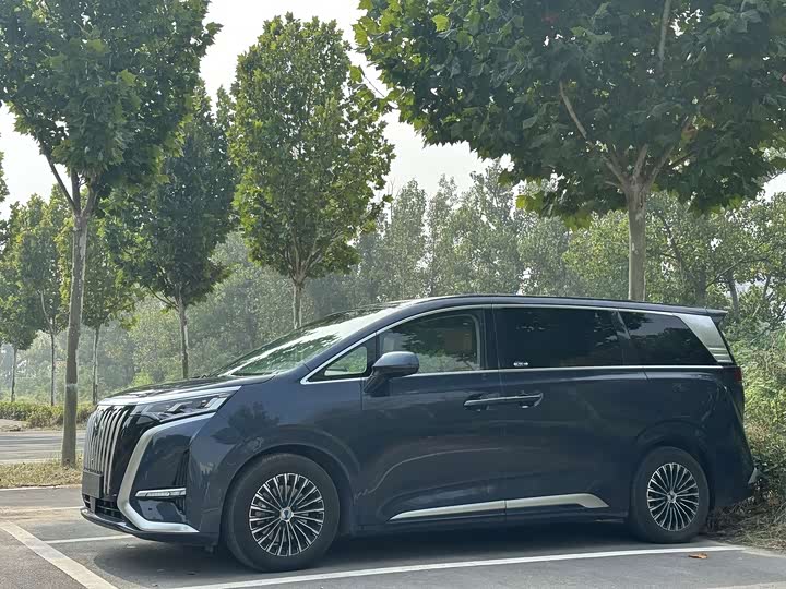 Denza D9 2022 EV 600 AWD Zunrong Model