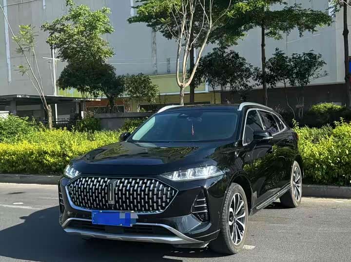 2021 WEY Mocha 2021 Model 2.0T 4WD Special Edition
