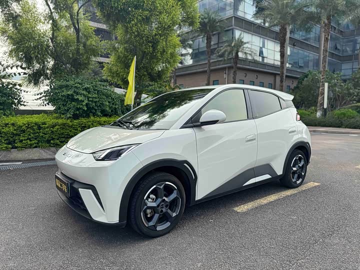 Seagull 2024 Honor Edition 305km Free Edition