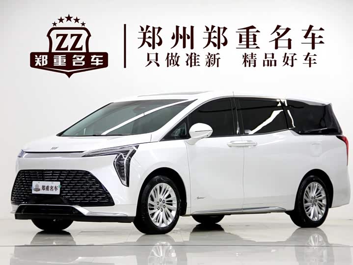 Century 2023 2.0T Six-Seater Yunshi Edition